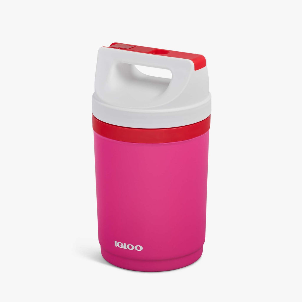 Retro Playmate Half Gallon Jug X3 - Tutti Frutti - Product View